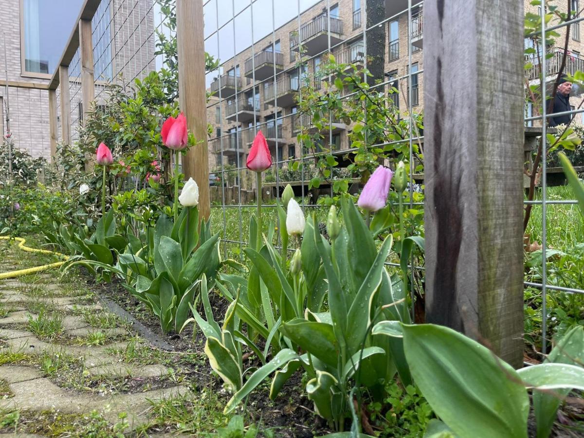 Vondice Hotel Amsterdam Eksteriør billede